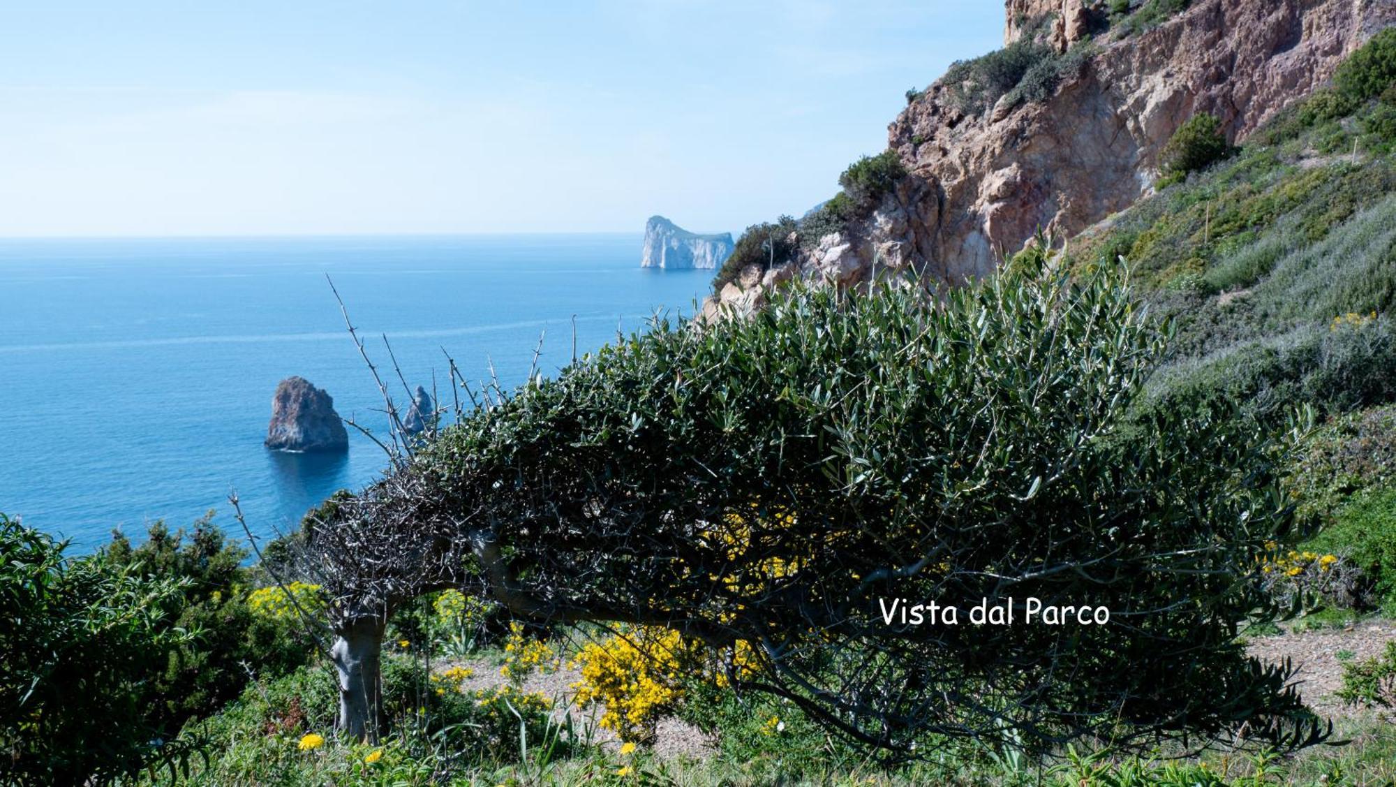 Il Dolce Risveglio Tanca Piras Villa Nebida Buitenkant foto